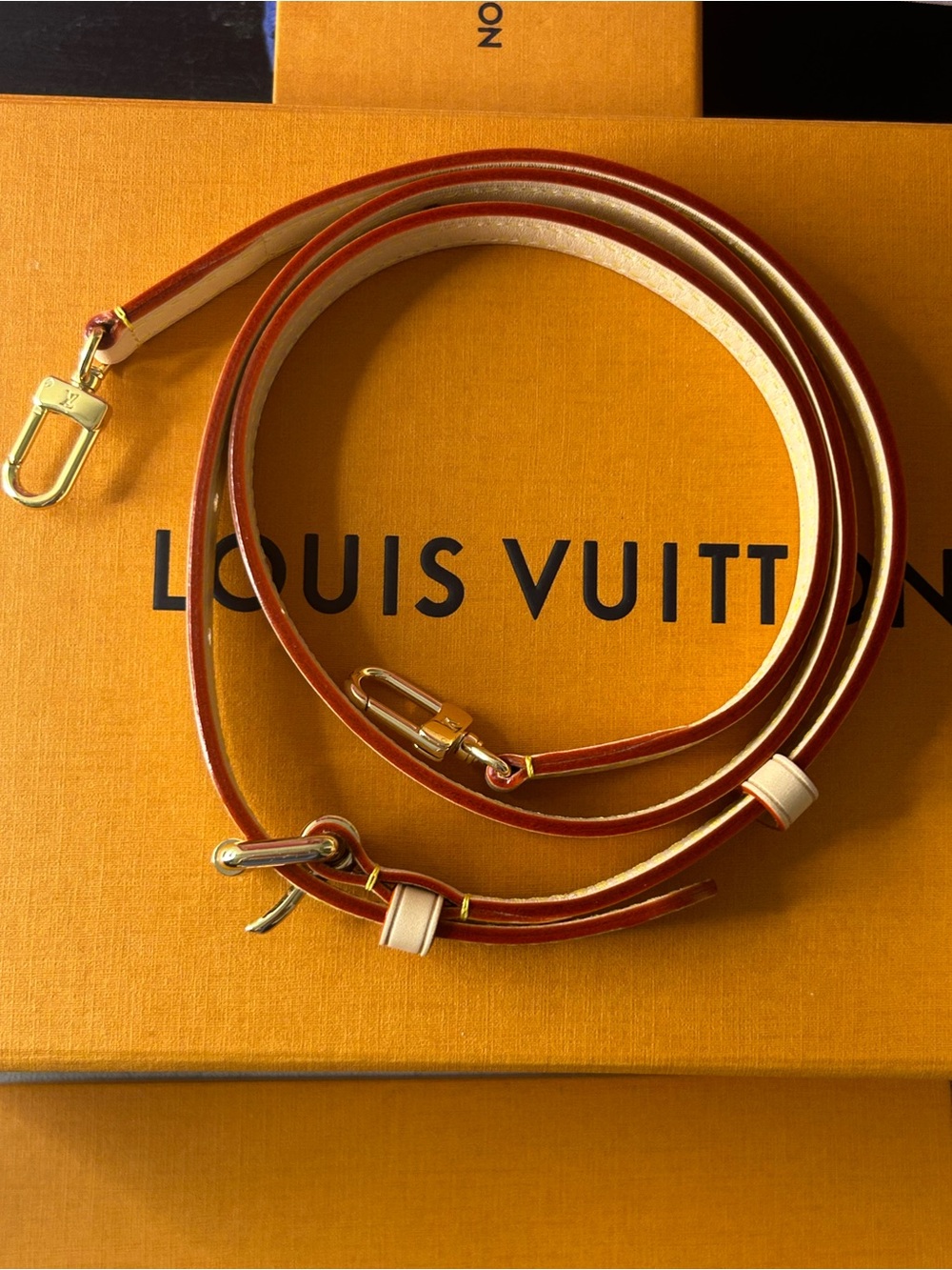 Louis Vuitton NWT Denim Nano Diane M27700 - Picture 12 of 15